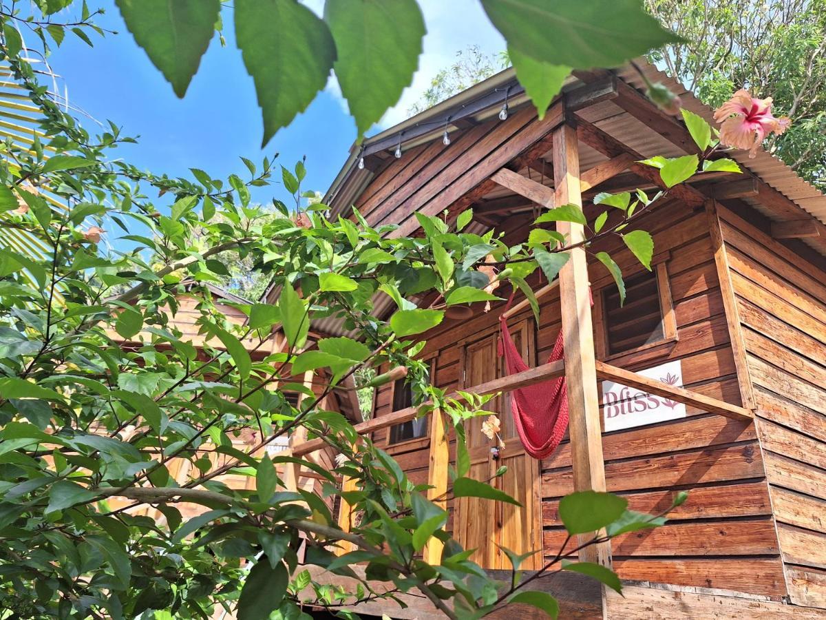 The Lighthouse Retreat, Little Corn Island, Nicaragua Hotel Bagian luar foto